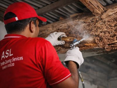 Termite-control-service by ASL Pest Control Service